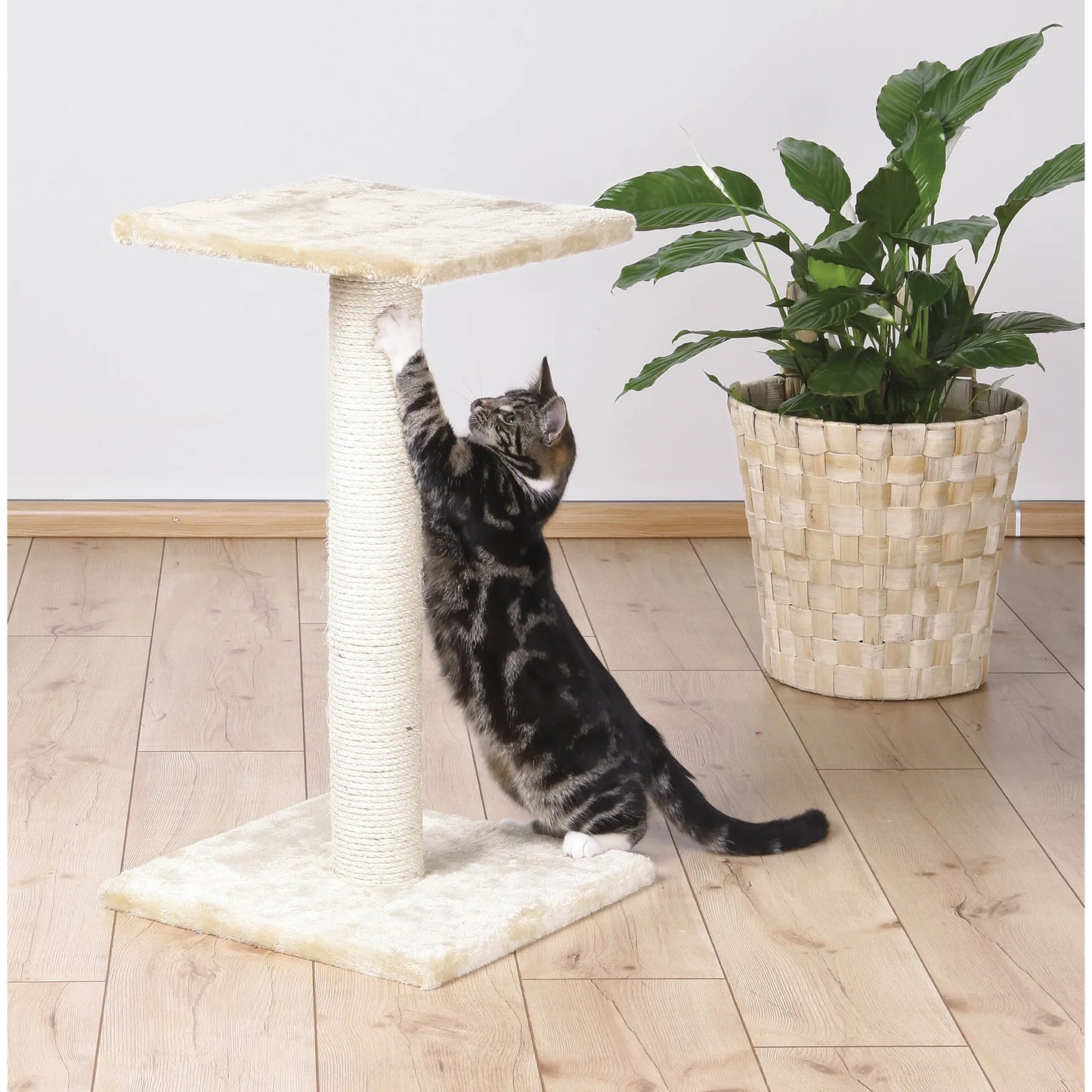Espejo 27" Sisal Cat Scratching Post with Plush Platform, Beige