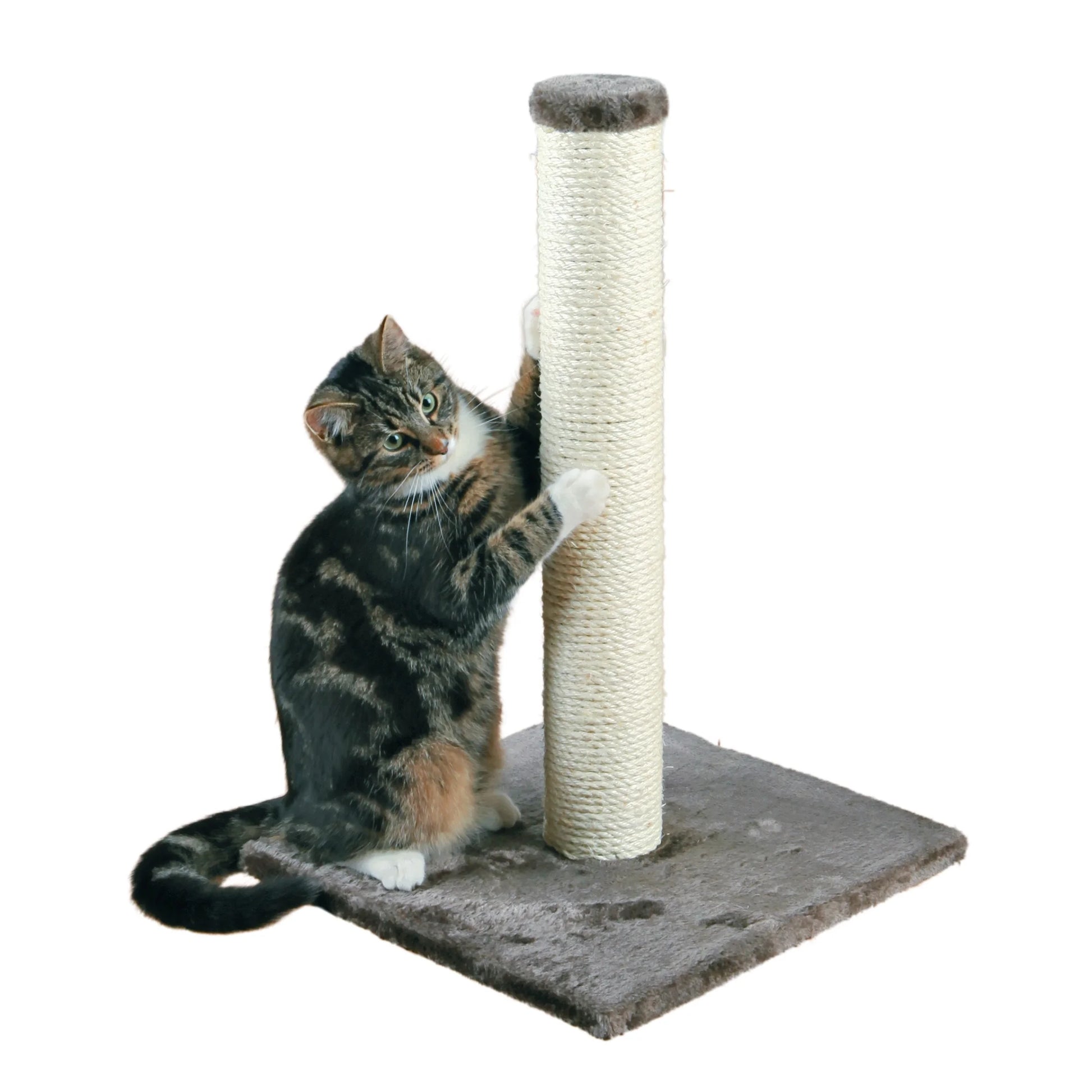 Parla Sisal 24.5" Cat Scratching Post with Plush Base, Gray